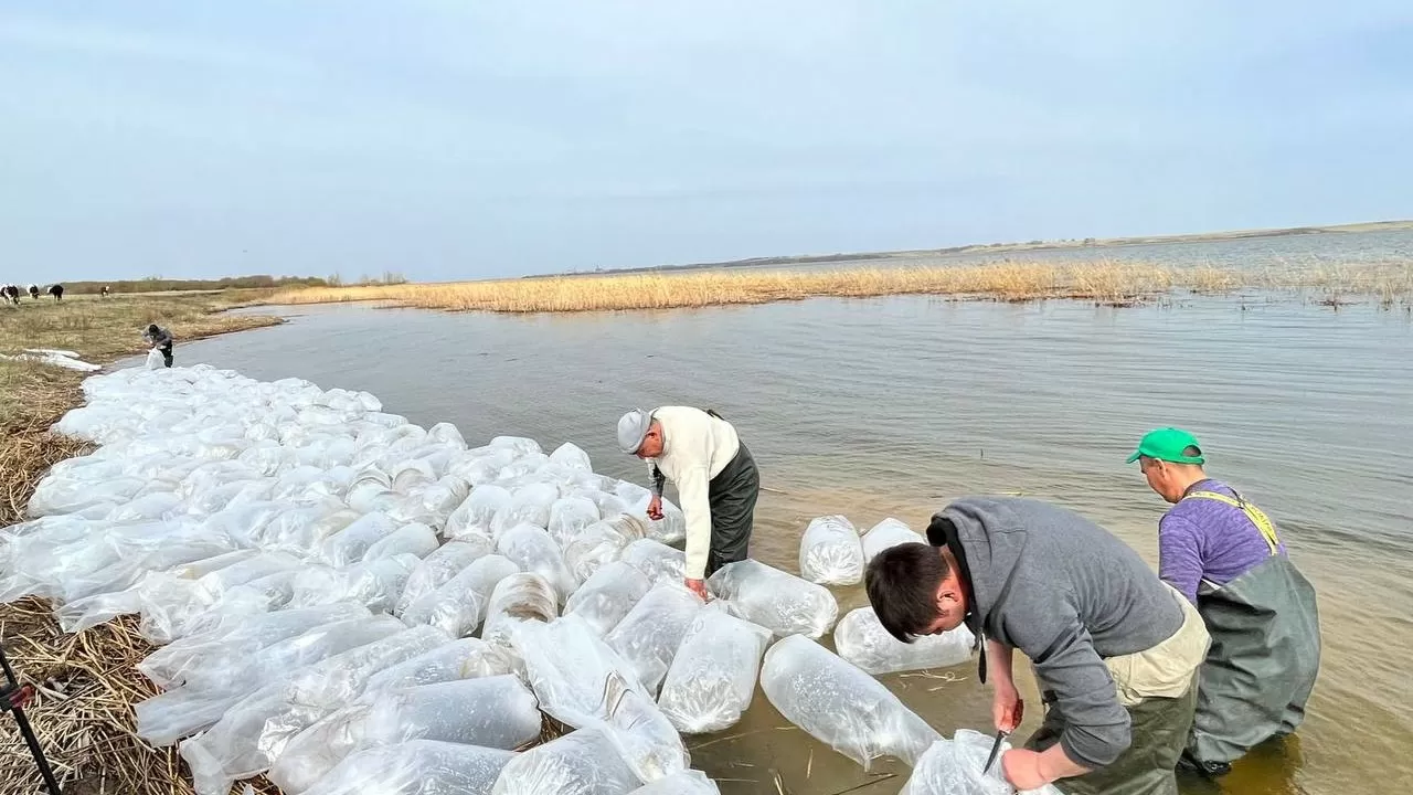 СҚО-да су қоймаларына көкшұбар мен пайдабалықтың 35,5 млн дернәсілі жіберілді