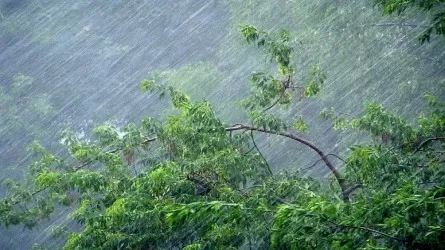 Дожди, грозы и сильный ветер – погода в РК 10 мая