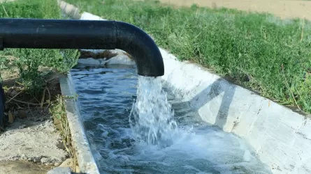 Для Кызылординской области значительно снижены лимиты поливной воды