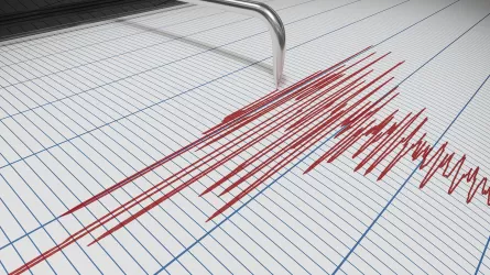В 114 км от Алматы произошло землетрясение