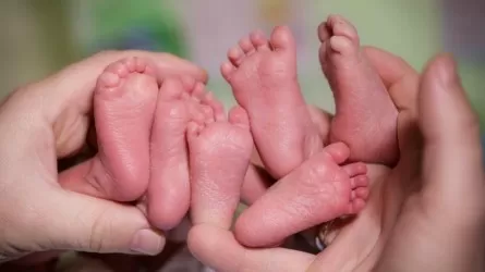 Мать пятерых детей родила тройню в Шымкенте