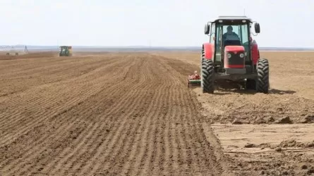 Весенние полевые работы в Актюбинской области планируется провести более чем на 700 га