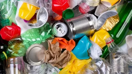 Только 6% коммунальных отходов из ВКО переработали на вторсырье 