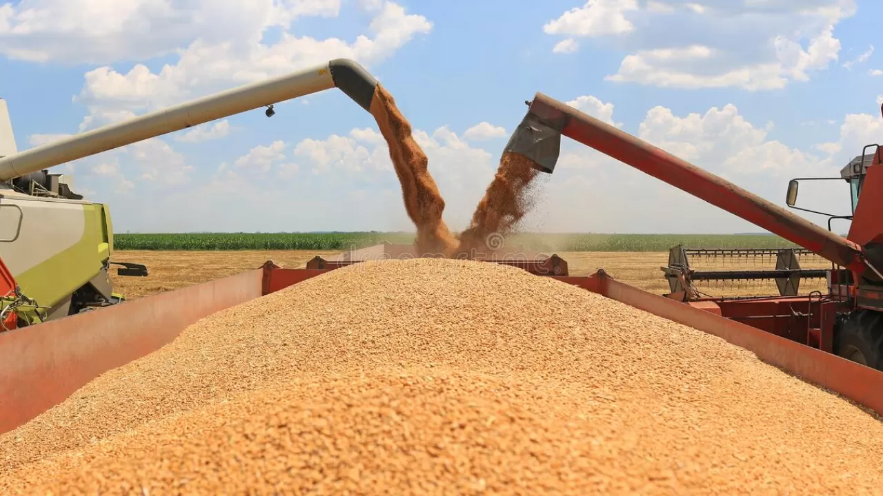 Когда остановятся "ценовые качели" на рынке пшеницы – прогнозируют в Союзе зернопереработчиков РК