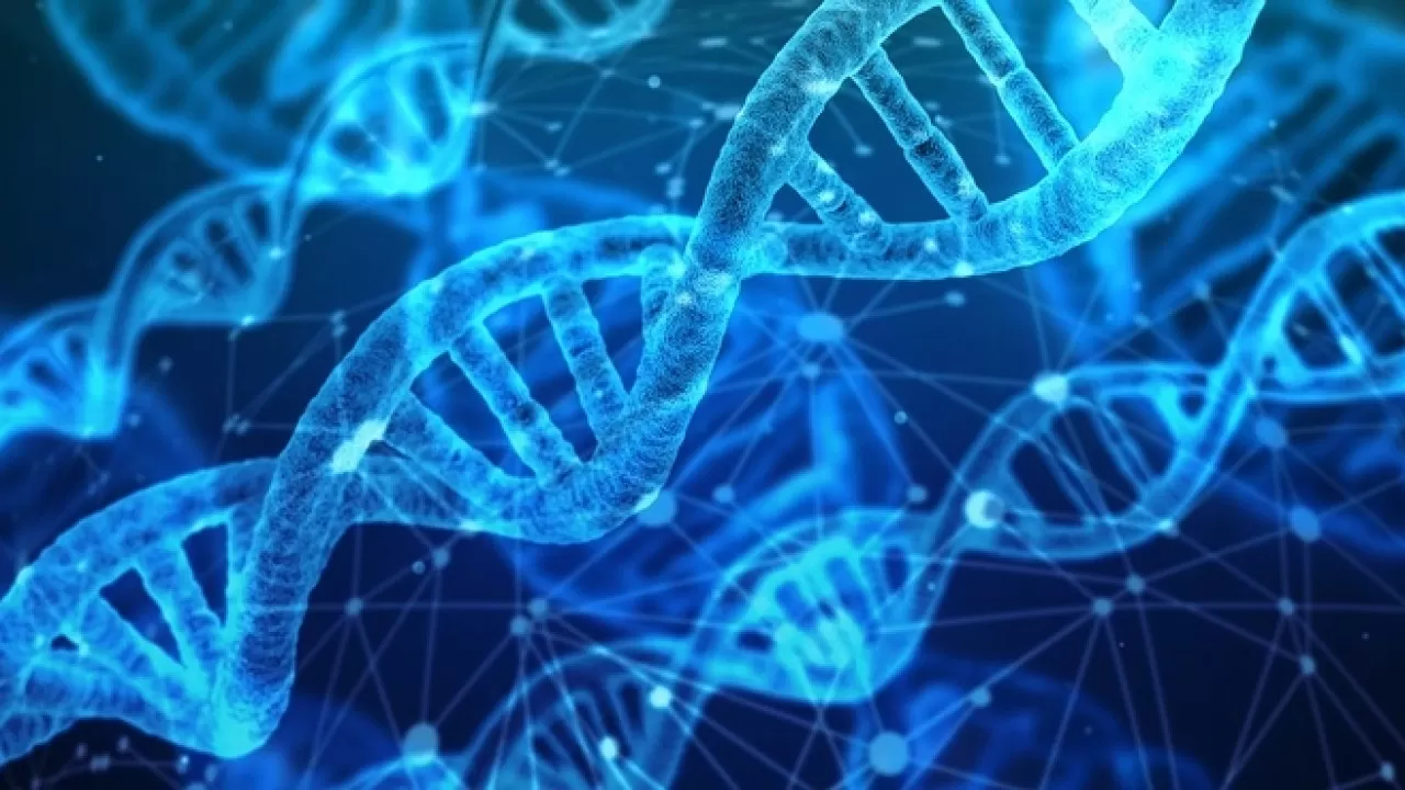 Действительно ли 5G изменяет генетический код людей?  