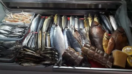 Чего не хватает Казахстану для развития рыбной отрасли? 