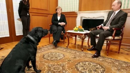 Меркель вспомнила про инцидент с собакой на встрече с Путиным