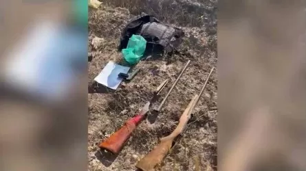Еще одну партию оружия и боеприпасов обнаружили в Жамбылской области