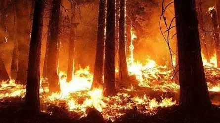 В Карагандинской области тушат два природных пожара