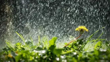 Дожди и сильная жара ждут казахстанцев на выходные  