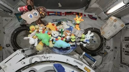 Экипаж мягких игрушек собрали космонавты, чтобы поздравить детей