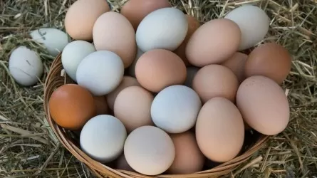 Минсельхоз увеличит размер субсидий на яйцо