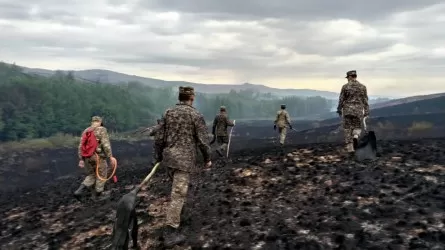 Военных привлекли к тушению лесных пожаров в Карагандинской области