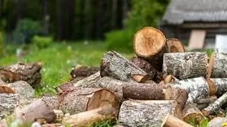 В Казахстане вновь введен запрет на вывоз лесоматериалов