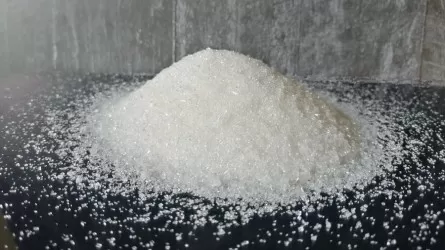 Более 100 тыс. тонн сахара планируют произвести на Коксуском заводе в этом году  