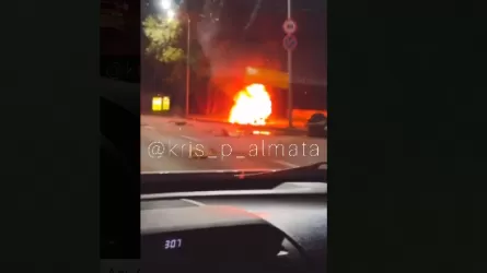 BMW уничтожена огнем после столкновения со столбом на пр. Аль-Фараби в Алматы