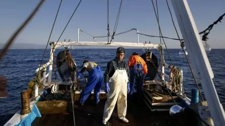 Япония лишится возможности ловить рыбу в районе Курил