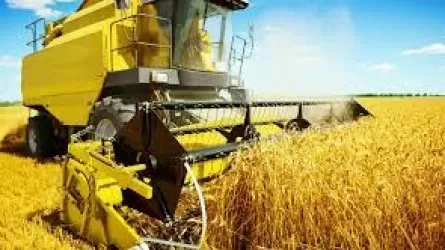 Квота на экспорт казахстанской пшеницы продлится до 30 сентября