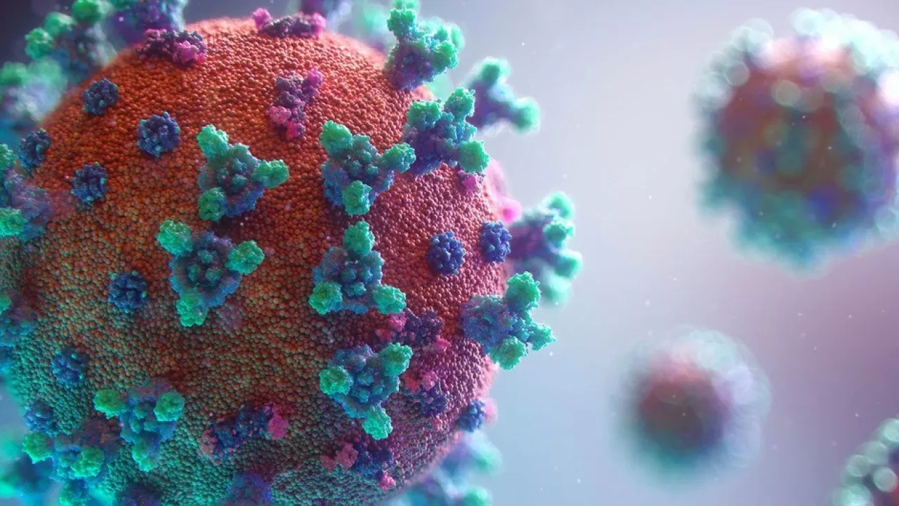 Число заражений коронавирусом в мире приближается к 550 миллионам