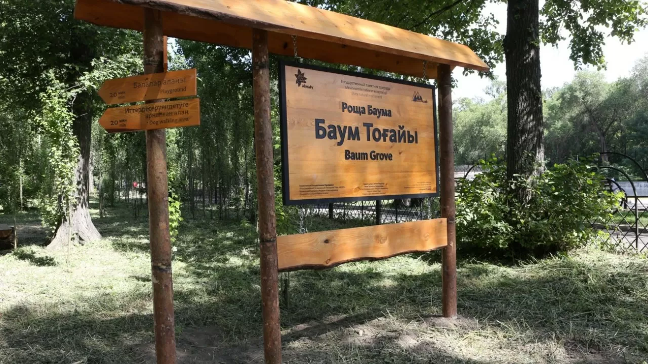 Алматы әкімдігі Баум тоғайын қайта жаңғыртудың ауқымды жобасын әзірлеуде