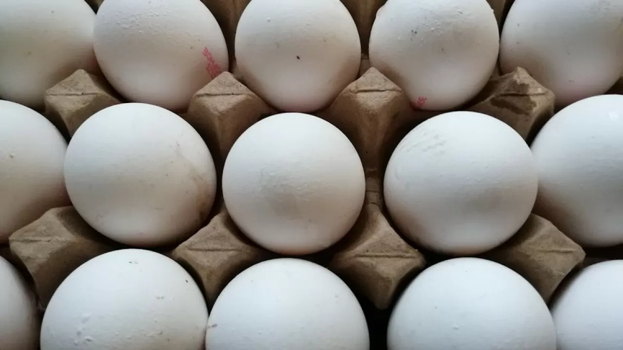 Казахстан лидирует по росту производства яйца среди стран ЕАЭС 