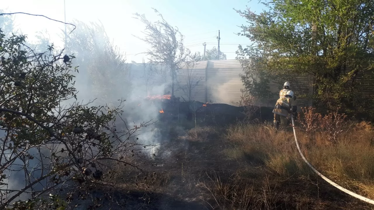 В Шымкенте мог сгореть дендропарк