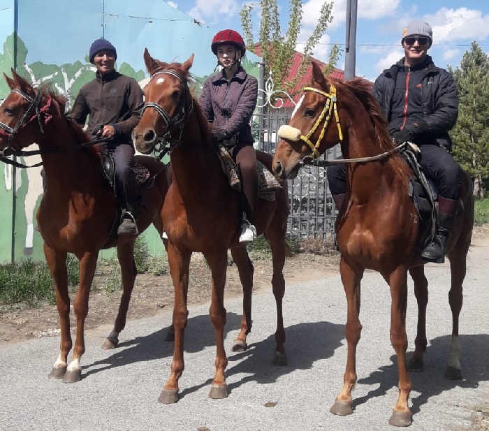 Призы и скачки: Восстановит ли былую славу костанайская порода лошадей