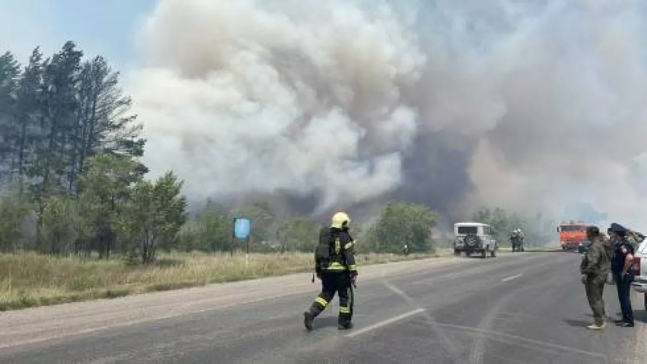 Лесной пожар распространяется в Карагандинской области