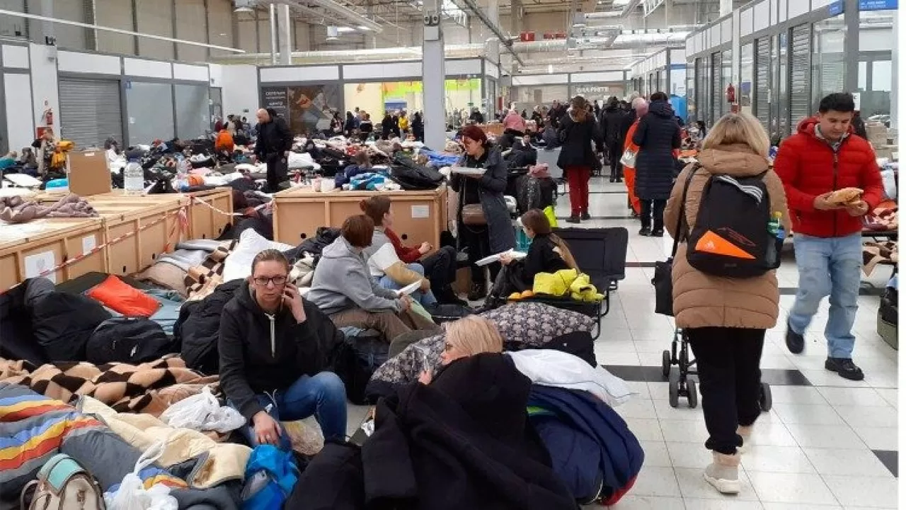 Временную защиту в ЕС запросили 3,7 миллиона украинских беженцев
