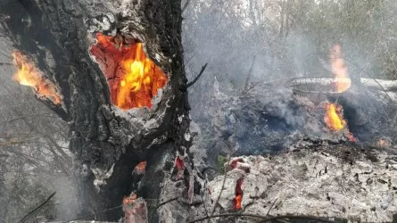 В ЗКО бюджет не может обеспечить лесхозы необходимой противопожарной техникой