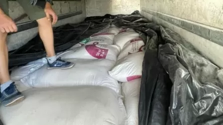 Из Кыргызстана в Казахстан пытались вывезти 6 тонн сахара  