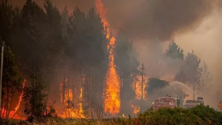 В Европе борются с лесными пожарами, тысячам человек пришлось эвакуироваться
