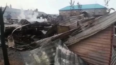 Крупный пожар: 4 базы отдыха сгорели на Алаколе, пострадали люди