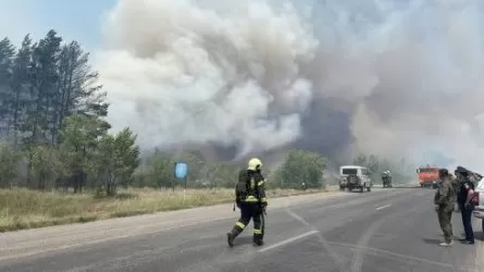 Лесной пожар распространяется в Карагандинской области