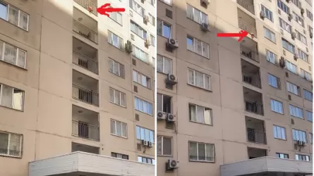 19-летний студент спас малыша от падения с 7-го этажа в Алматы
