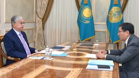 Ерболат Досаев Президентке берілген тапсырмалардың орындалу барысы жөнінде баяндады
