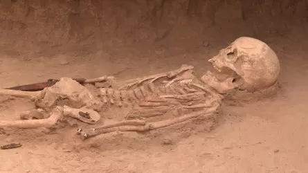 Захоронение женщины-воительницы с украшениями обнаружено в Туркестанской области