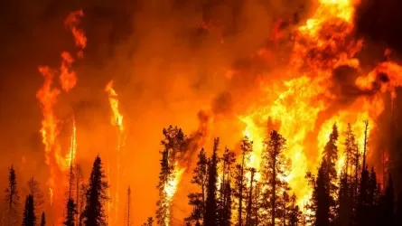 С начала пожароопасного периода зарегистрированы 394 лесных и 22 степных пожара