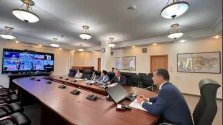 Министр экологии после выговора Токаева провел совещание по сайгакам