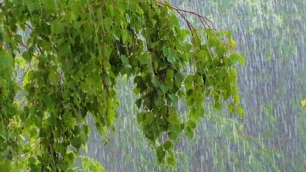 Дожди с грозами и усиление ветра - прогноз погоды на 20 июля в Казахстане