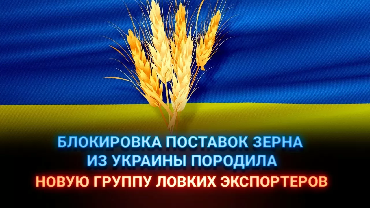 Блокировка поставок зерна из Украины породила новую группу ловких экспортеров 