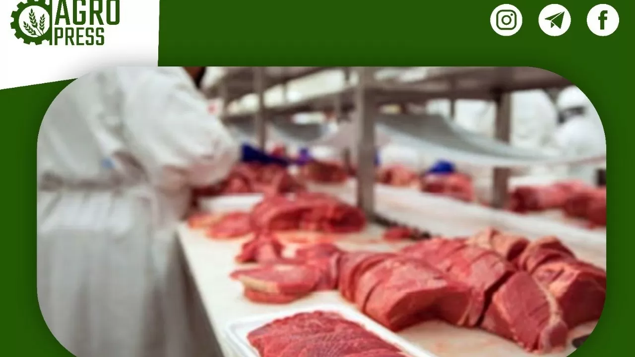 5 казахстанских компаний будут экспортировать мясо в Саудовскую Аравию