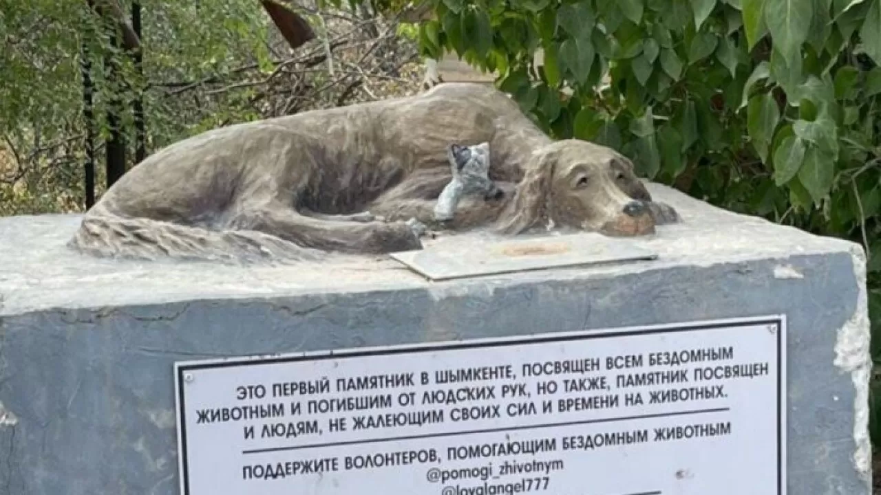 Памятник бездомным животным появился в Шымкенте