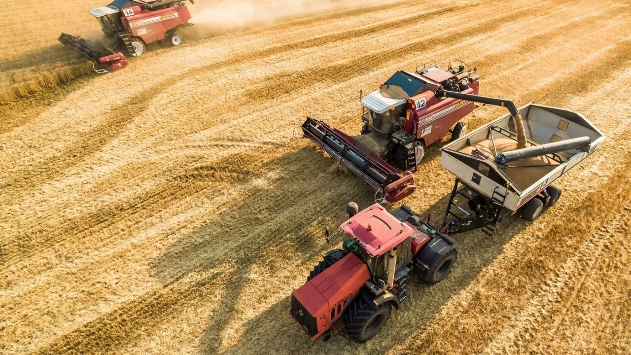 В Казахстане планируют собрать 16 млн тонн зерновых 