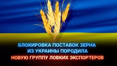 Блокировка поставок зерна из Украины породила новую группу ловких экспортеров 