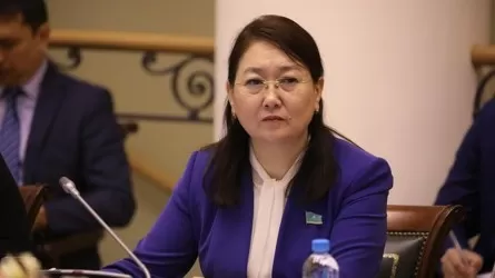 Аким Павлодарской области не принял отставку заместителя
