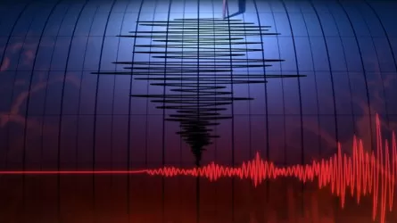 Землетрясение произошло в 404 км от Алматы