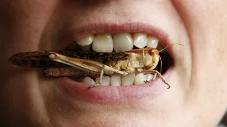 Поедание тараканов и саранчи вызывает рак?