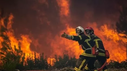 Лесные пожары снова полыхают во Франции из-за сильной жары