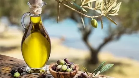 В Испании оценили последствия засухи для производителей оливкового масла